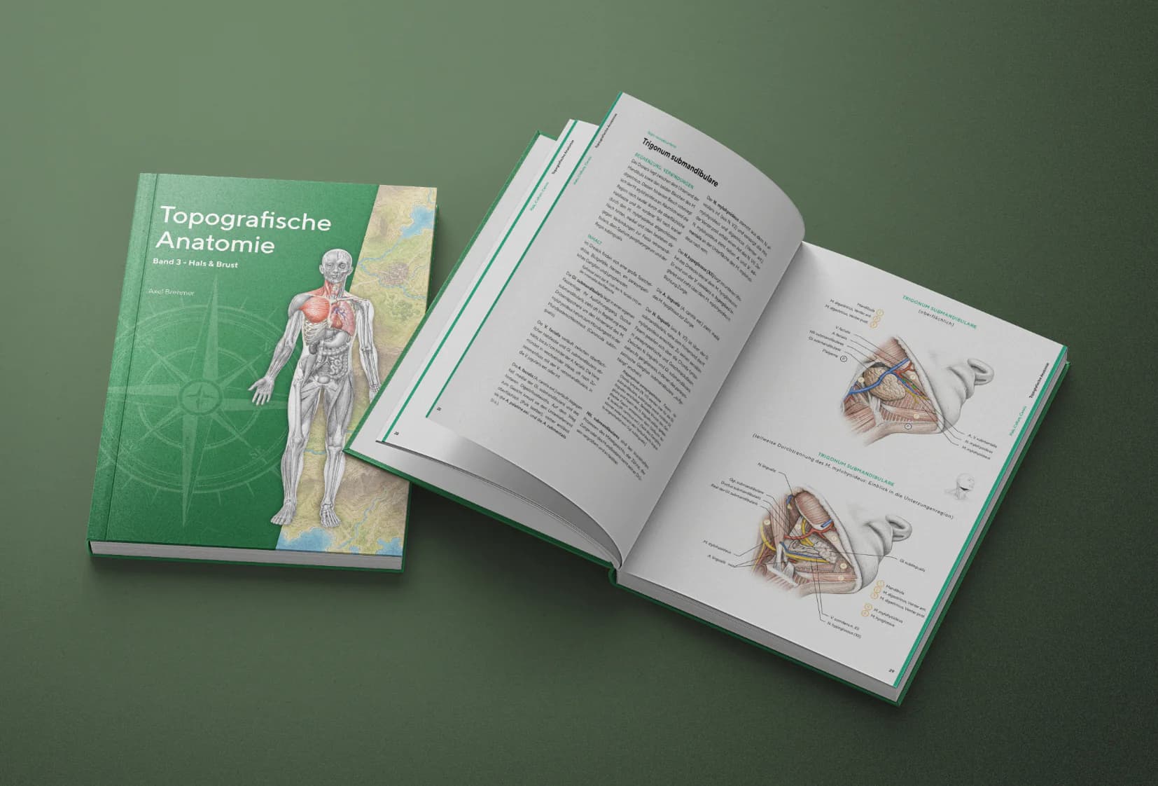 Topografische Anatomie Band 3: Hals und Brust